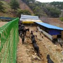 솔미농장 이미지