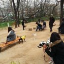 서울어린이대공원동물병원 이미지