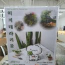 수청2로 | [당진] 파충류샵 디어랩 당진수청점 - 아이와 테라리움 만들고 파충류 구경까지 한 체험 후기