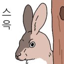 성목초밥 이미지