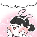 리즈애견미용 이미지