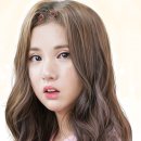 담은하다