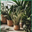 동탄리아한의원 | 허리 통증 완화에 약침치료와 침한약 융합 효과 탐구