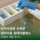 아쿠아공방 | [후기] 아쿠아공방 수족관 테라리움 원데이 클래스 소중한 후기! / 테라리움 / 인천 수족관