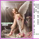 한솔사 Daum카페
