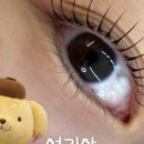 르무드