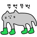 카페쿠진