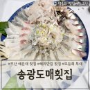 송광도매횟집 | 부산해운대횟집추천 해운대현지인맛집 해리단길횟집 &#39;송광도매횟집&#39;
