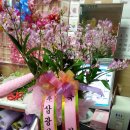 삼광산업개발 이미지