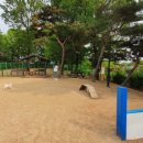 덕수공원반려견놀이터 이미지