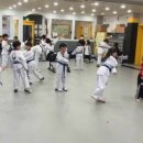 도당태권도장 이미지