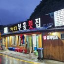 부흥횟집 회덮밥 후기