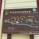 현섭농장 | 주말 아이랑 갈만한곳_물놀이장있는 한터조랑말농장(한터농원)체험_솔직후기
