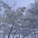 하늘가축병원 이미지