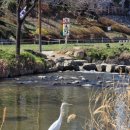 동래구 자전거무료대여소 이미지