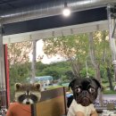 강남대로16길 4 이미지