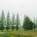 비 오는 날의 수채화 이미지