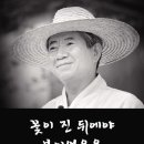 드립꽃 이미지
