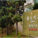 제뉴어리펜션