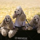 목도강수욕장 이미지