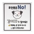 551 이미지