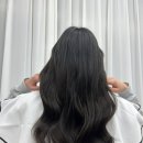 춘살롱 이미지