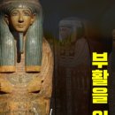 (주)핵교