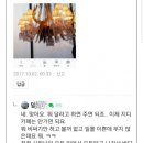 제주도 지디카페 3억짜리 샹들리에 부순 후기 이미지