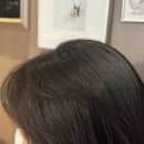 경호강변살아보기 | 구의역미용실 준오헤어 구의역점 강변역미용실 현지 부원장 염색후기