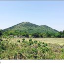 돗오름 주차장 이미지