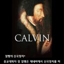 신국 카카오 검색결과