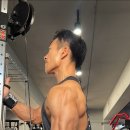 삼두 이미지
