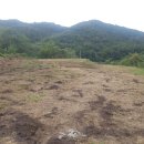 재호농장2 이미지