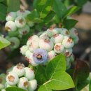 수곡농장 이미지