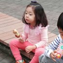 닦꼬치 이미지