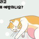 도담동물의료센터동물병원 이미지