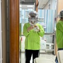 성서공단북로 | 얘드라 떡은 엔간하면 먹지마라..