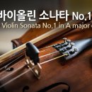 포레 '바이올린 소나타 1번' 그는 생상스, 댕디, 드뷔시, 라벨 그리고 젊은 작곡가들과 개인적, 또는 공적인 접촉을 가졌고 그들의 중 이미지