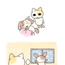 파퓰러 이미지