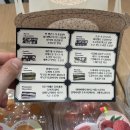 크레이지랩 | 250313 (목) 발표끝난 대학원생 일상 _ 신세계 투어 (마이 초콜릿 랩, 아이엠젤리, 크레이지 카츠)