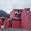 프라이빗핑크트리 이미지