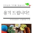 이로운꿍꿍이