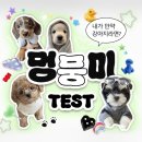 멍뭉미 이미지