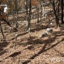 노화농장 이미지