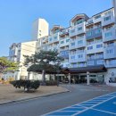 비에이치씨치킨금호점 | 반려견 봉순이와 처음 떠난 속초 여행｜속초 금호리조트 반려견 동반 후기