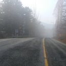 배산정류소 이미지