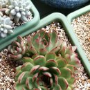 티엠(TM) 이미지