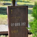 *대구 불로동(고분군)9월30일* 이미지