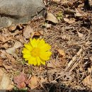 치유농장 연원당 이미지