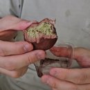 이마트24화곡점 | 두바이쫀득쿠키 변의점, 카페 후기